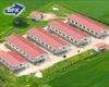 Easy to Install Construction Fast Installation Steel Structure Poultry Building