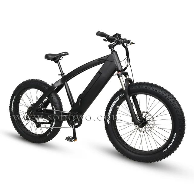 fat bike battery