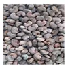Food stuff Raw Cashew nuts from Ghana