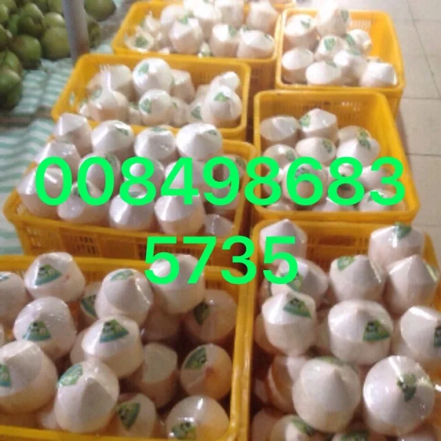 Fresh Coconut Buy Fresh Coconuts For Sale,Fresh Coconuts In Container