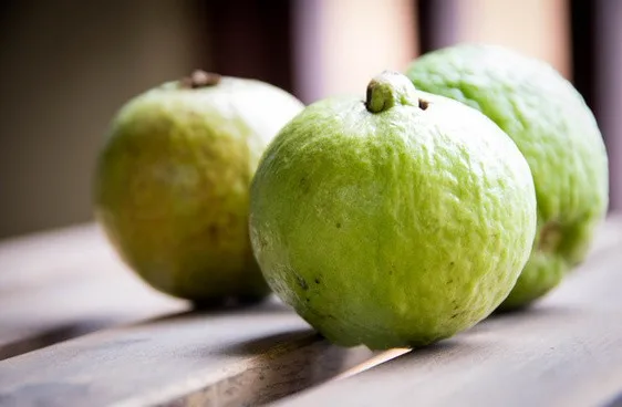 fresh guava fruit
