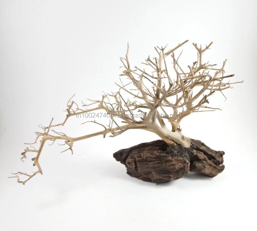 Aquarium Driftwood With Small Tree Branches,Decorative Driftwood With