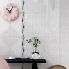 30x60cm Vietnamese High Class Ceramics and Porcelain Wall Tiles