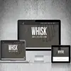Creative WordPress web development by ProtoLabz eServices | popular company of Creative WordPress web development