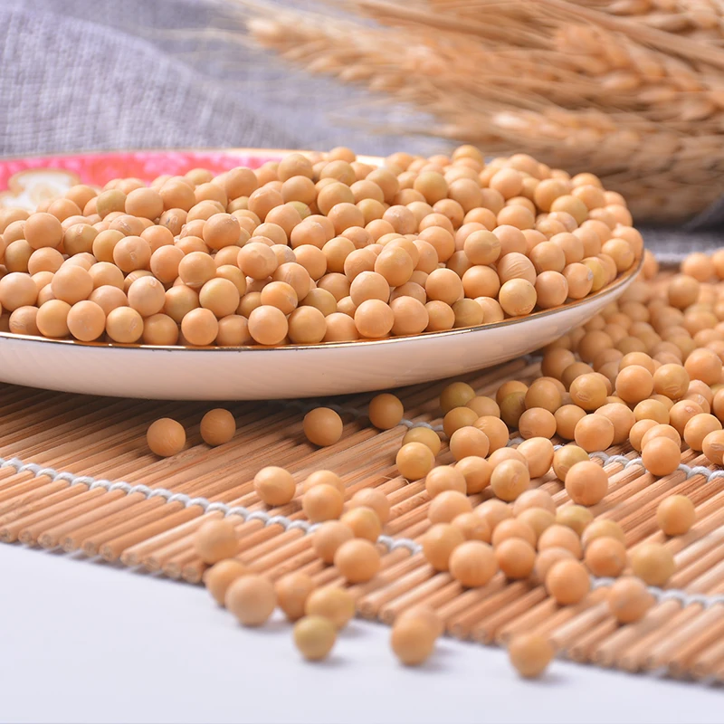 
Canada Wholesale Dried Yellow Soybean Soya Seeds 