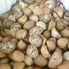 Total DRIED WHOLE/ SLICE/ SPLIT BETEL NUTS