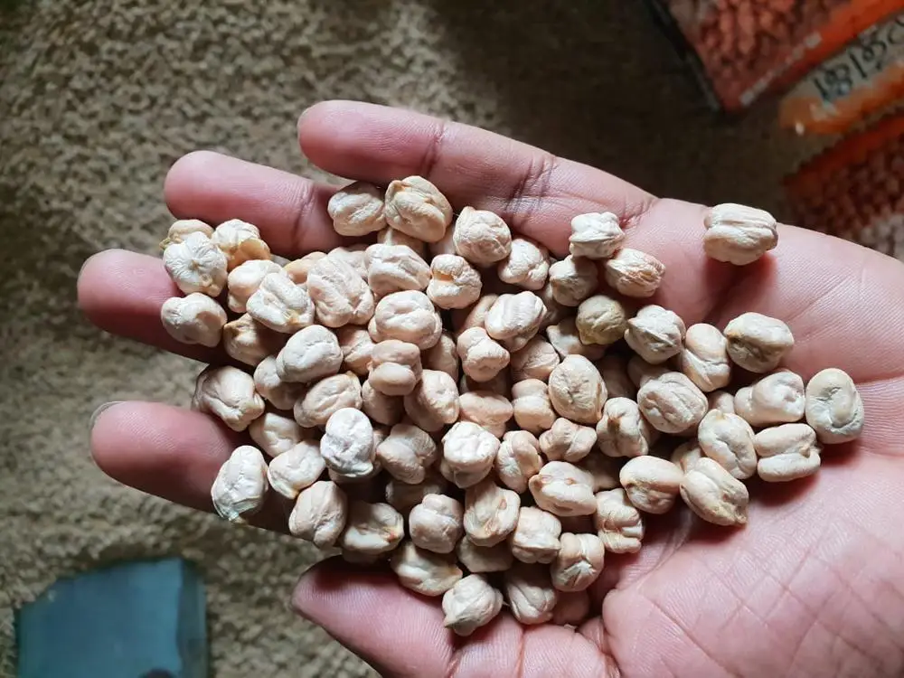 
Kabuli chick peas ( Size13 mm, Count - 40/42 ) 