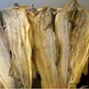 Quality Dry Stock Fish Cod