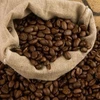 Pure Sumatera Sidikalang Coffee Roasted/Green Arabica Coffee Beans Indonesia