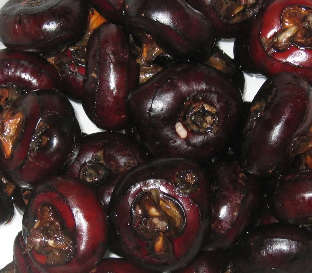 Wholesale New Crop High Quality Frozen Water Chestnut At Cheap Price From Vietnam Buy Water