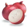 With high quality yellow fresh onion with marketing price