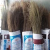 /product-detail/coconut-stick-to-making-broom-straw-broom-50039163883.html