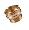 Brass Molding Inserts for PPR, CPVC, UPVC, PVC pipe fittings