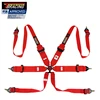 /product-detail/6-points-fia-8853-2016-safety-belt-racing-harness-seat-belt-60706442994.html