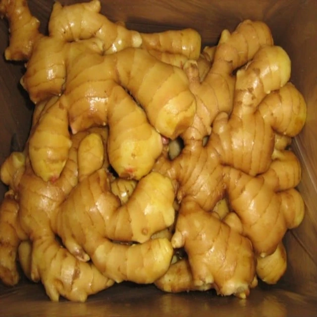 Indonesian Fresh Ginger For Sale Buy Bulk Fresh Ginger In Asia,Buy Fresh Ginger From Asia