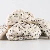 Premium Dehydrated Red & White Dragon Fruit - Vietnam Dried Fruits Collection