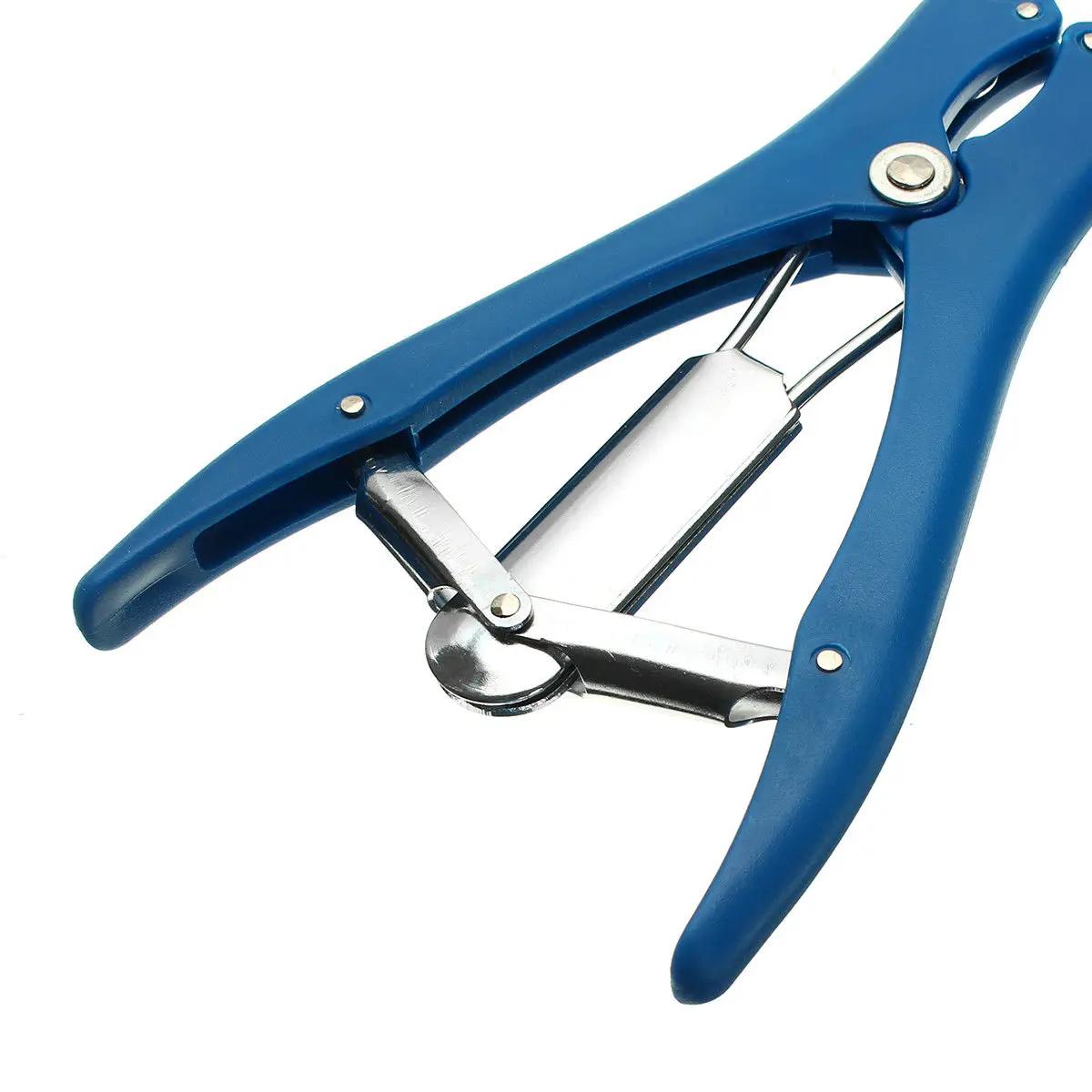 Wholesale Stainless Steel Castration Ring Plier Sheep Castration Pliers ...