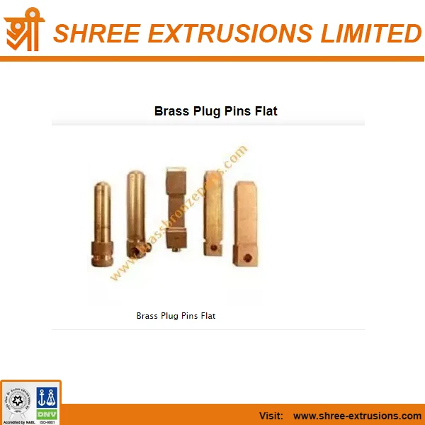 brass plug pins flat.jpg