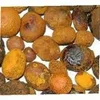 100 % Natural Whole Cattle and Cow Gallstone