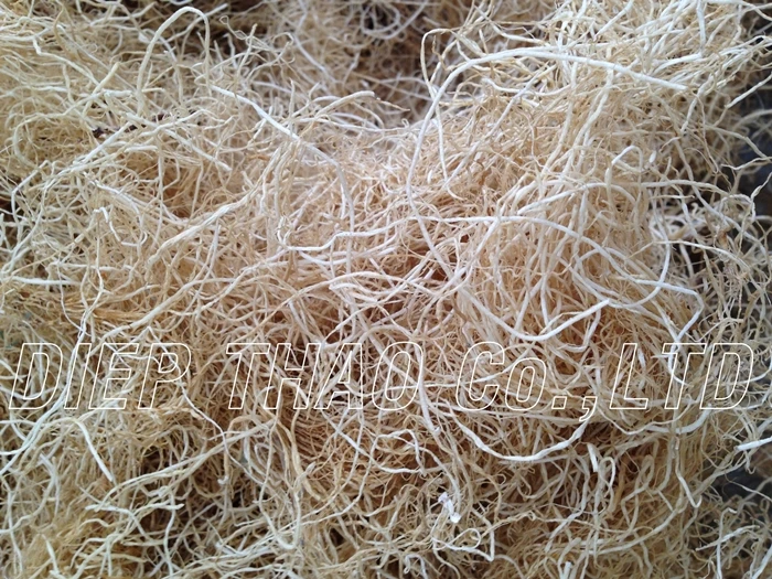 dried gold gracilaria (2).JPG