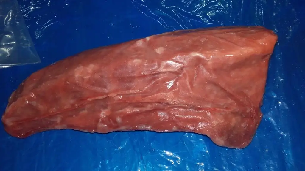 Frozen tuna loins (9).jpg