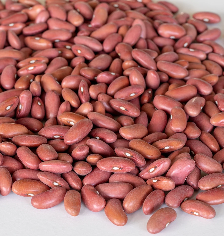 red kidney beans for sale