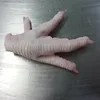 100% Cool affordable frozen chicken feet for export