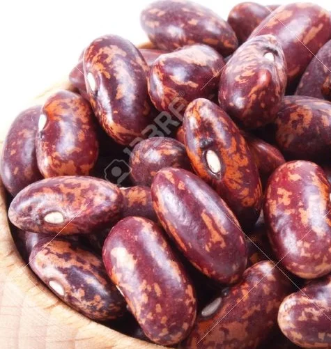 light speckled kidney bean lskb pinto bean butter bean size 200