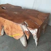 Teak Root Coffee Table