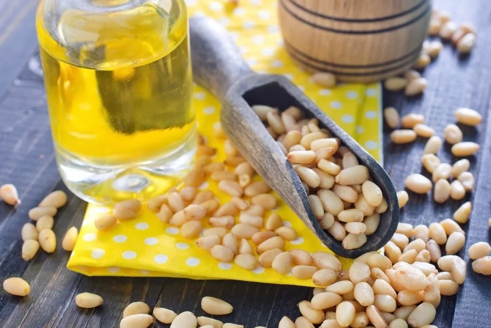 nut oil 100% organic virgin pine seed nut cold-pressed oil cedar