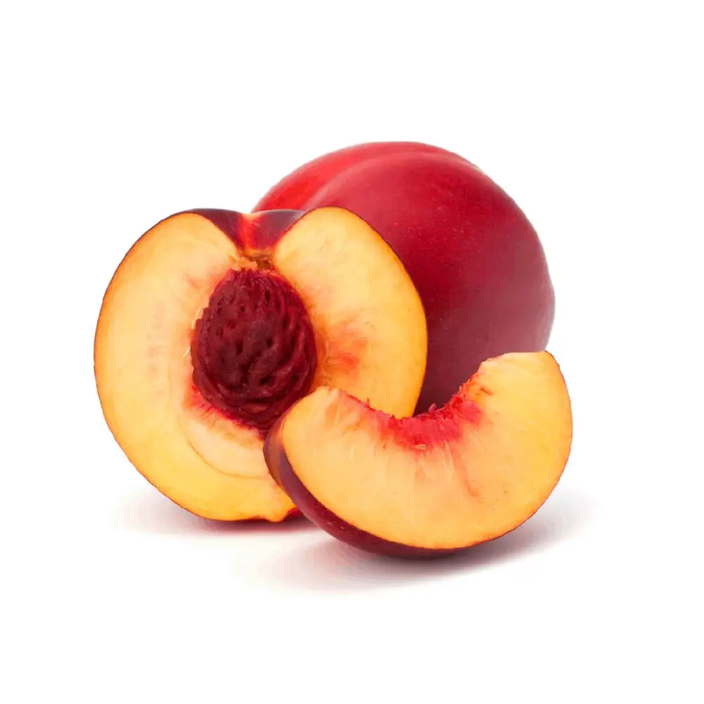 
Venus Nectarine 