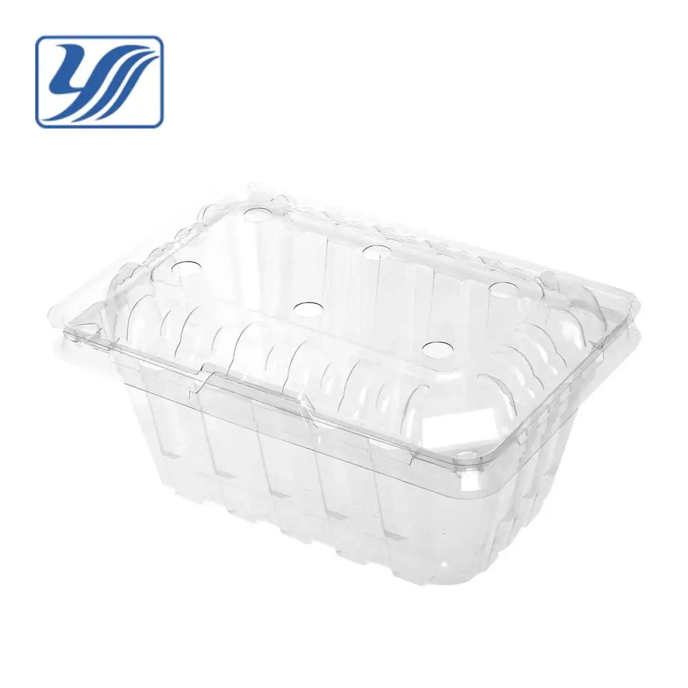 
Clear disposable plastic food container with lid 