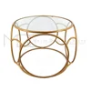 Hope Furnish Lining Room Stainless Steel God Coffee Table