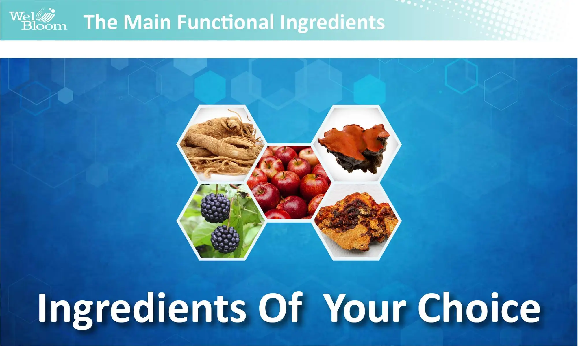 Turmeric Biotin Liver Enhance Support Wellness Supplement OEM ODM