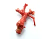 Top Quality Natural Italian Red Coral Rough Branch Specimen
