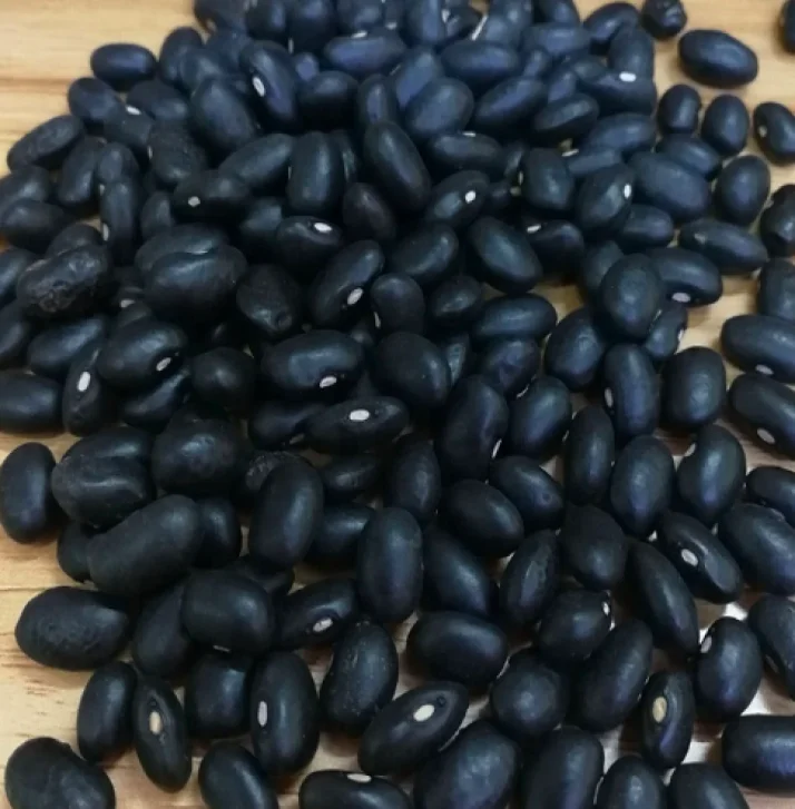black matpe beans1.png