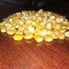 yellow corn