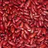 Dark Red Kidney Beans Bulk/ Dried Red Beans for Sale/Wholesale Price for Black Kidney Beans