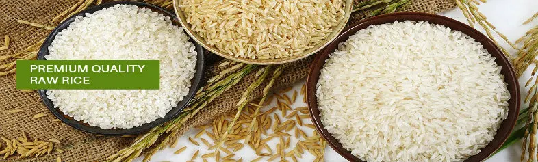 Raw Rice Banner.jpg