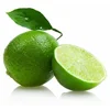 100% Pure Lime Essential Oil Bulk For Sale
