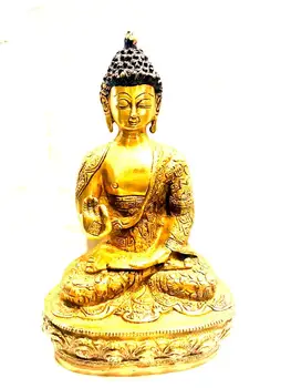 gautam buddha details