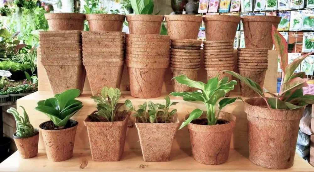 Vietnam Coir Pot For Planting Environmentally Vietnam Coir Pot For Planting Environmentally
