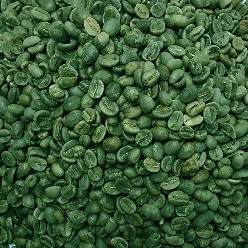 Toptan Kahve Çekirdekleri Yeşil Premium Robusta Yeşil Fasulye Kahve