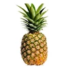 Fresh Pineapple / Indian Fresh Pineapple / Wholesale Price Fresh Pineapple