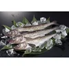600-800g Cold Storage Seafood Fish Frozen Alaska Pollock With Good Price