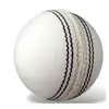 White cricket