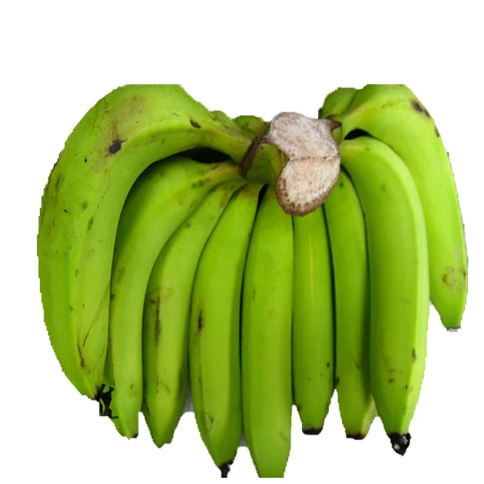 
High Quality Best Banana Indian Exporter 