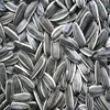 /product-detail/sunflower-seeds-for-sale-50039098150.html