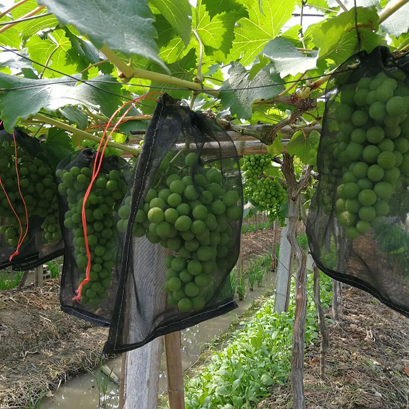 agricultural mesh bags