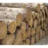 Purpleheart Round Logs for sale